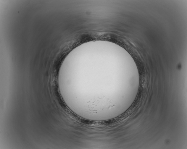 X0000095890515200801110832