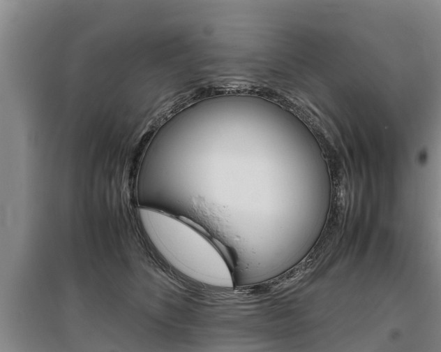 X0000095890516200801110832