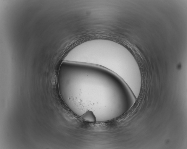 X0000095890517200801110832