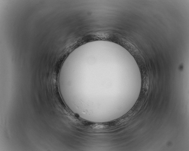 X0000095890518200801110832