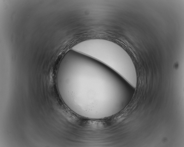 X0000095890520200801110831