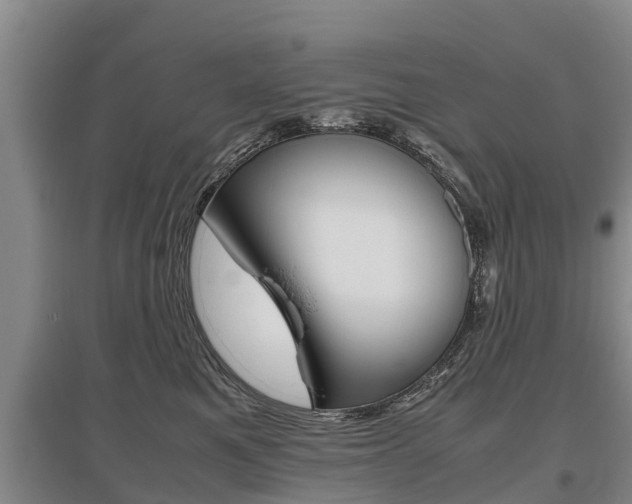 X0000095890521200801110831