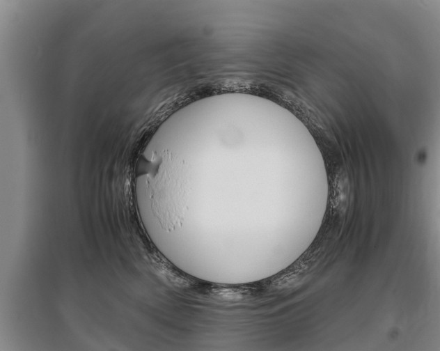X0000095890522200801110831