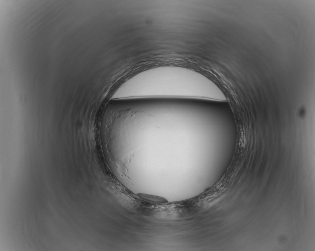 X0000095890524200801110831
