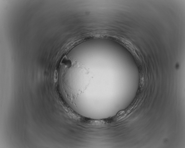 X0000095890525200801110831