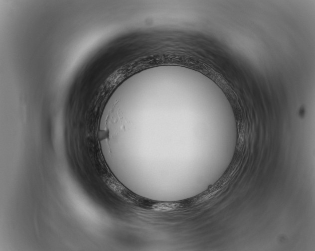 X0000095890526200801110831