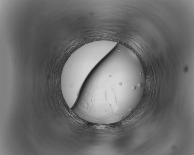 X0000095890527200801110831