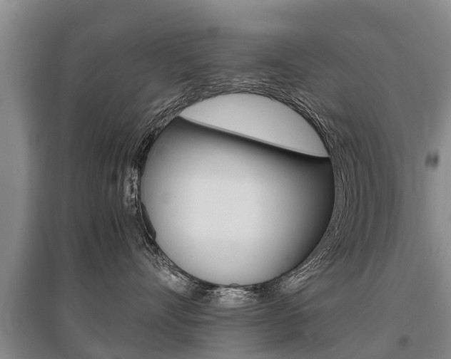 X0000095890528200801110831