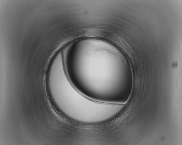 X0000095890530200801110831