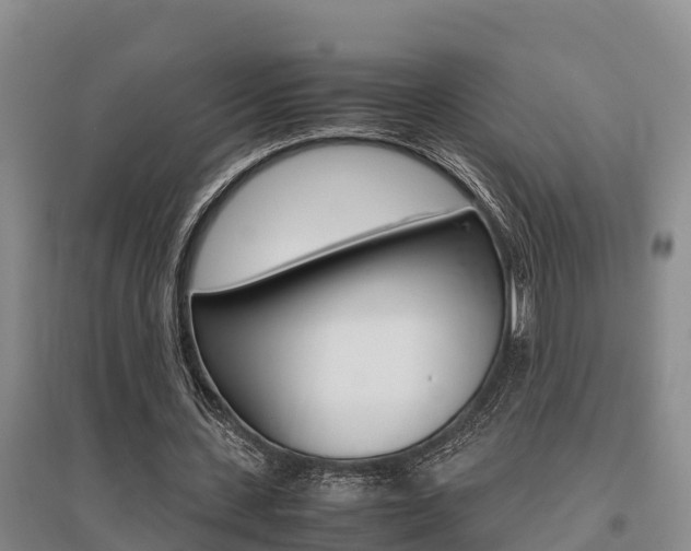 X0000095890531200801110831