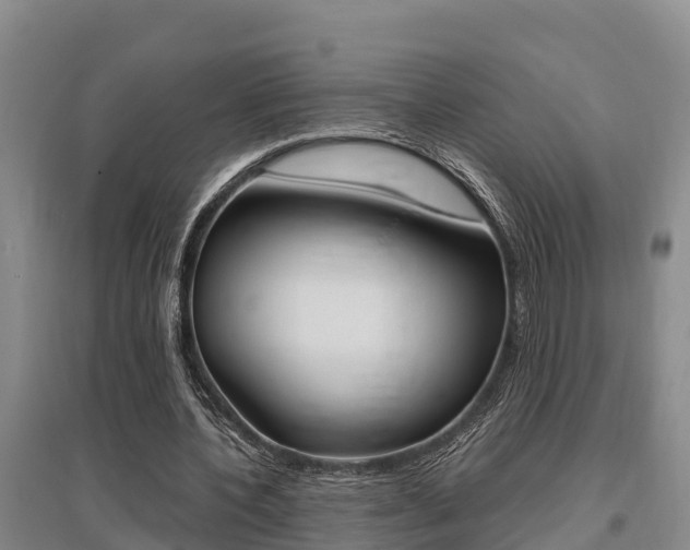 X0000095890532200801110831