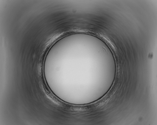 X0000095890533200801110831