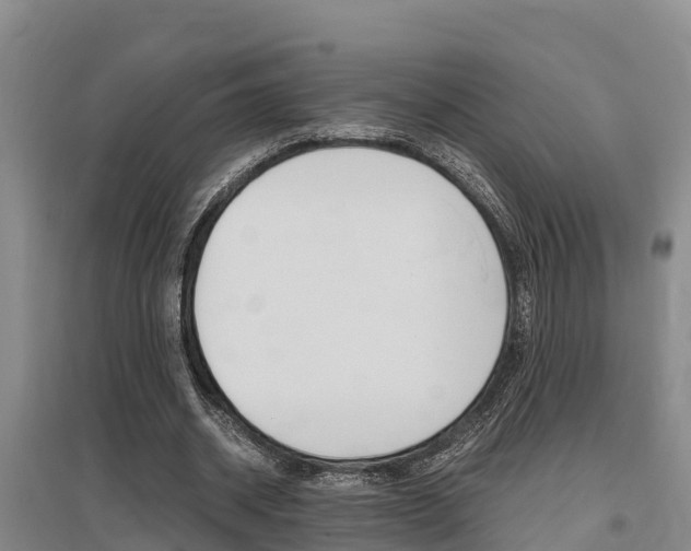 X0000095890534200801110831