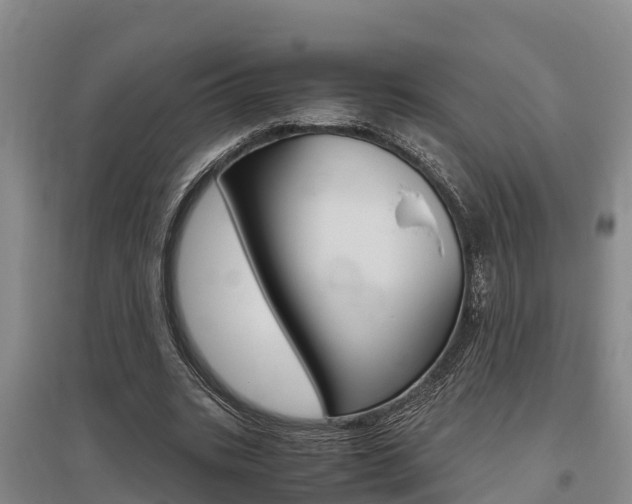 X0000095890535200801110831
