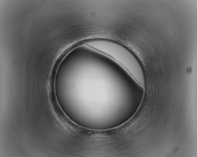 X0000095890536200801110831