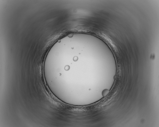 X0000095890537200801110831