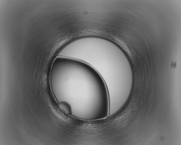 X0000095890538200801110831