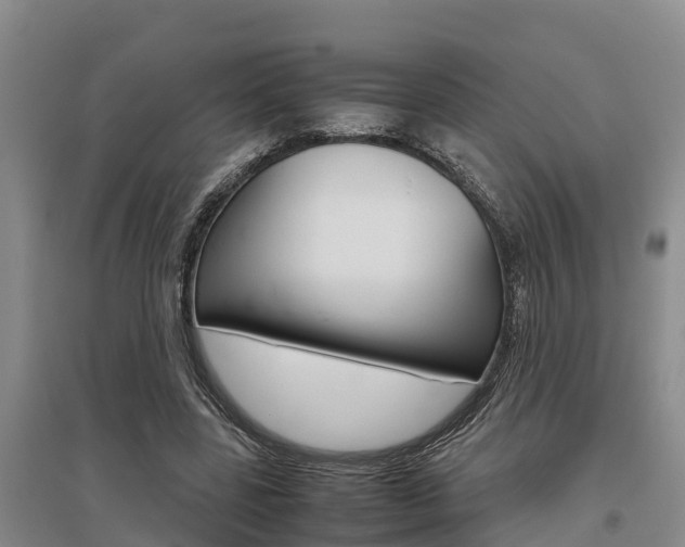 X0000095890539200801110831