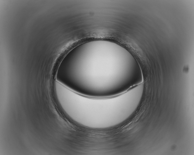 X0000095890540200801110831