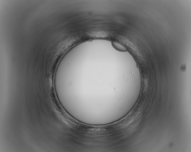 X0000095890541200801110831