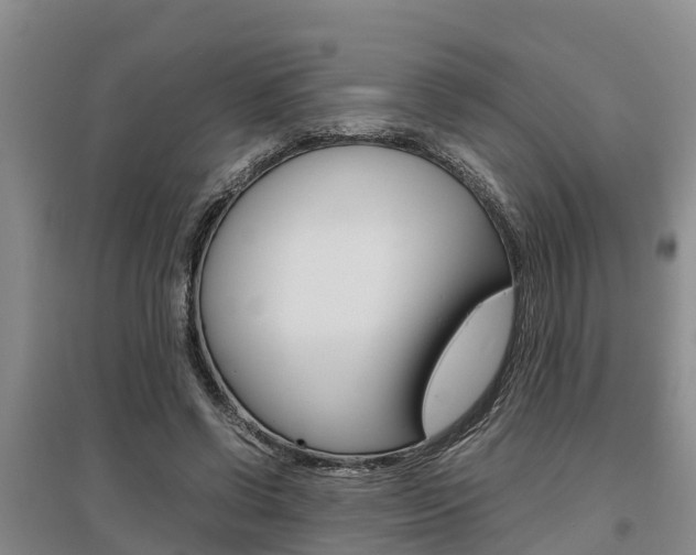 X0000095890542200801110831