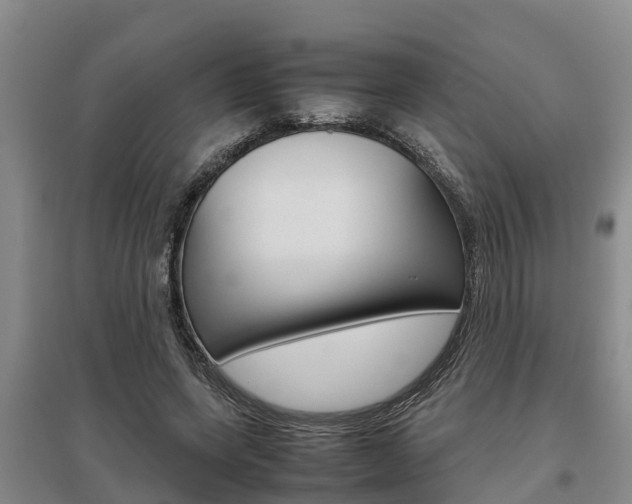 X0000095890543200801110831