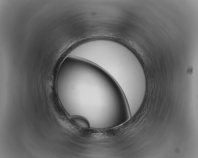 X0000095890544200801110831