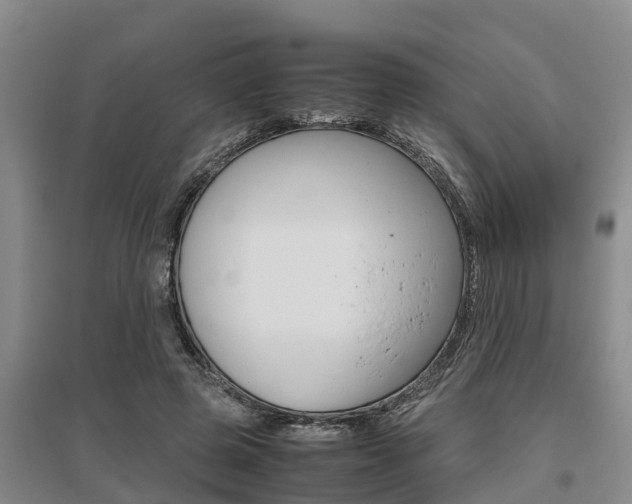 X0000095890545200801110831
