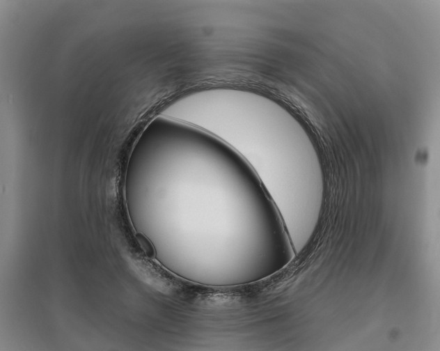 X0000095890546200801110831