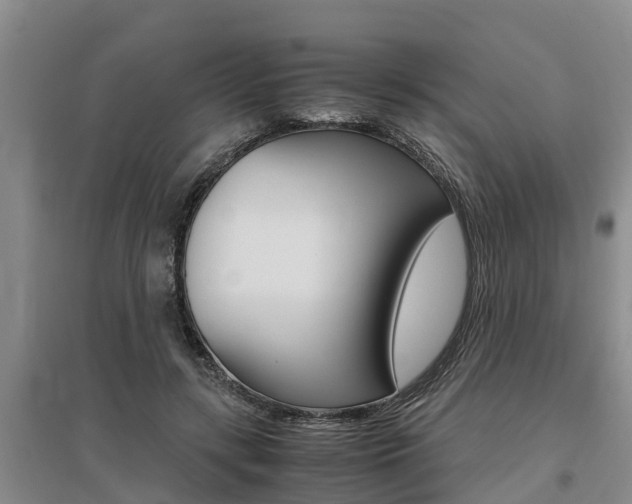 X0000095890547200801110831