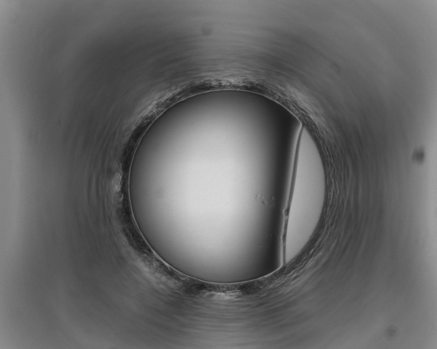 X0000095890548200801110831