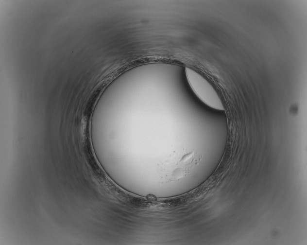 X0000095890550200801110831