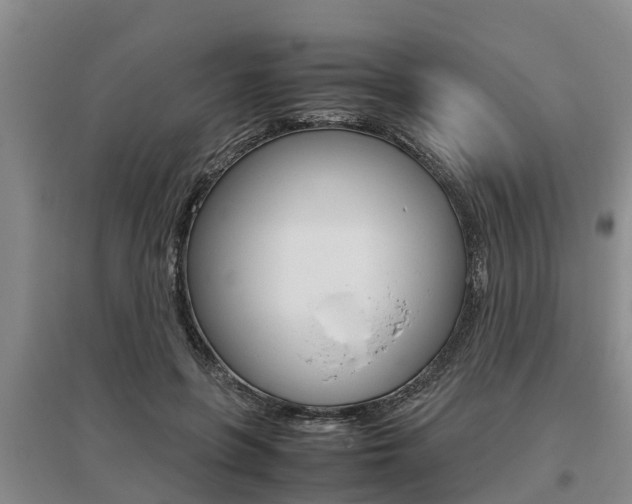 X0000095890551200801110831