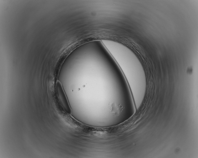 X0000095890552200801110831