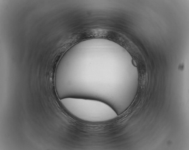 X0000095890553200801110831