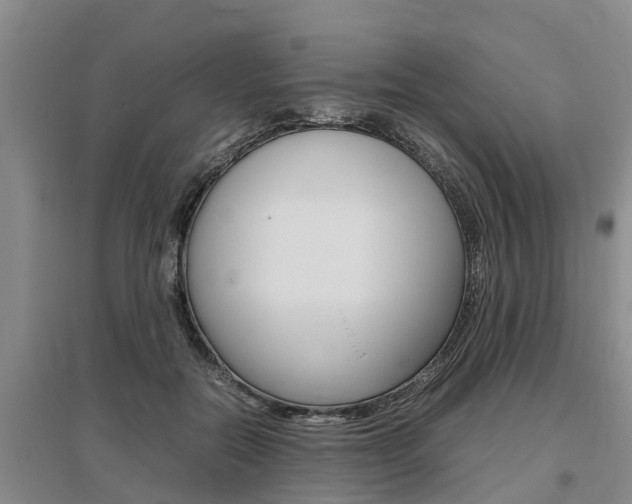 X0000095890554200801110831