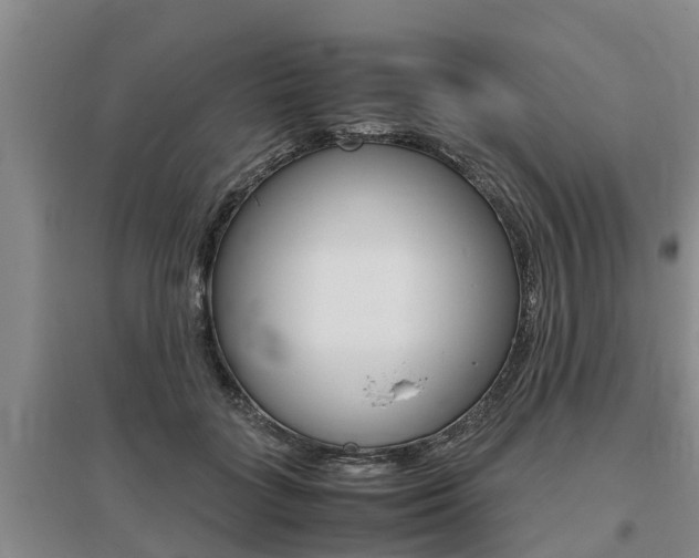 X0000095890555200801110831