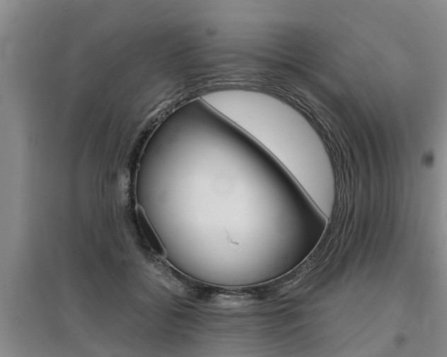 X0000095890556200801110831