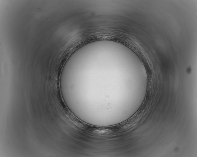 X0000095890557200801110831