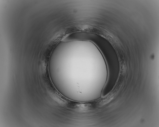 X0000095890558200801110831