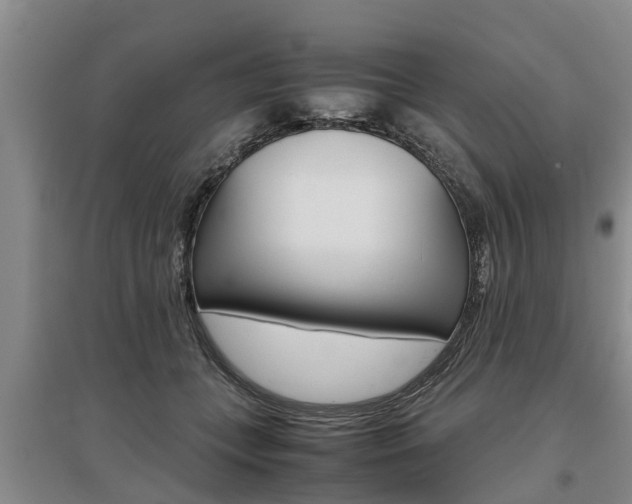 X0000095890559200801110831