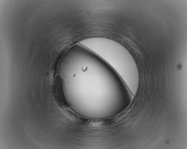 X0000095890560200801110831