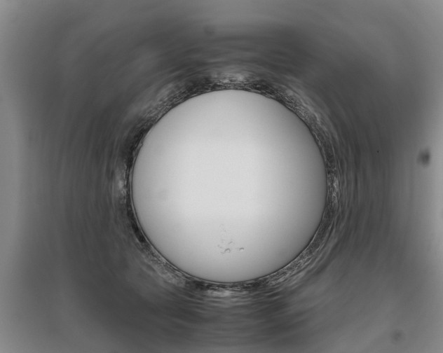 X0000095890561200801110831