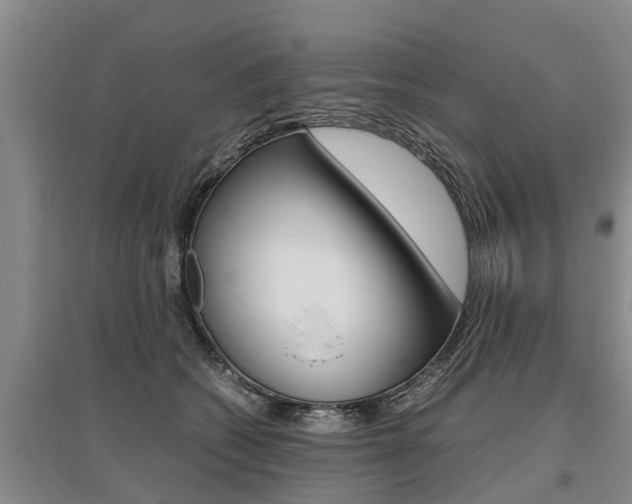 X0000095890562200801110831