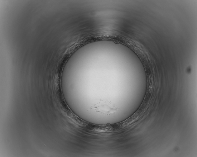 X0000095890563200801110831