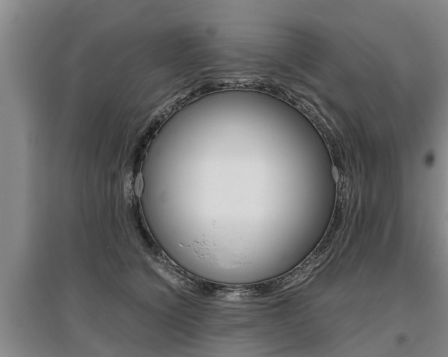 X0000095890564200801110831