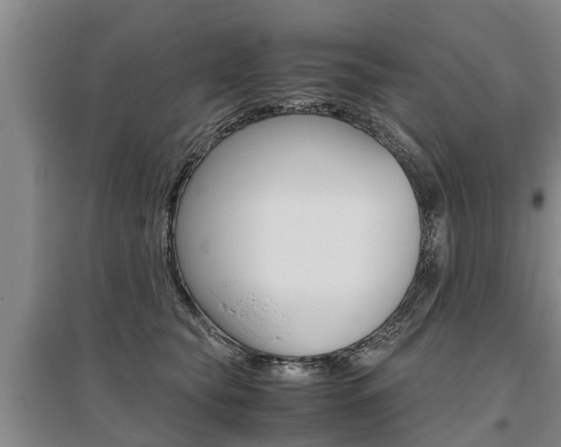 X0000095890565200801110831