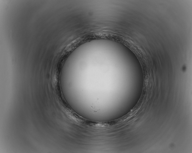 X0000095890566200801110831