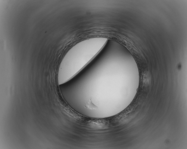 X0000095890567200801110831