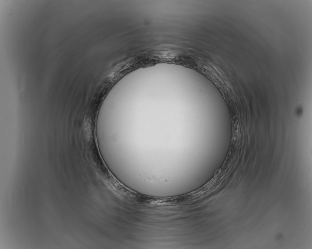 X0000095890568200801110831
